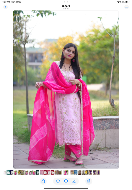 Punjabi Handwork Designer Suit