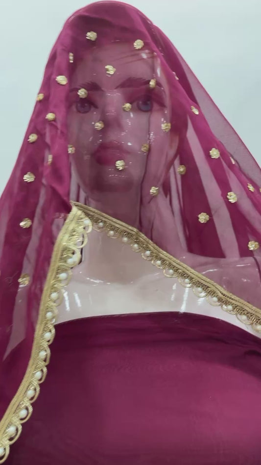 Beautiful punjabi suit
